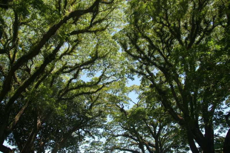 성장 잠재력 실현